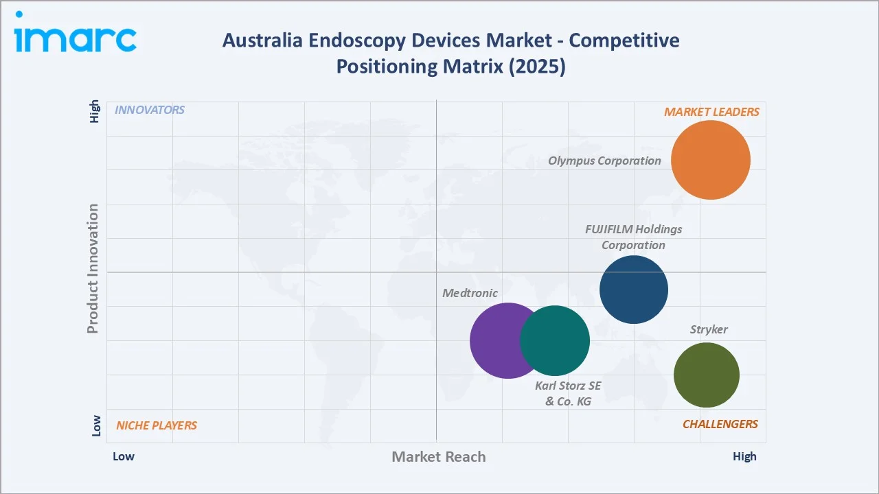 Australia Endoscopy Devices Market By Competitive Positioning Matrix
