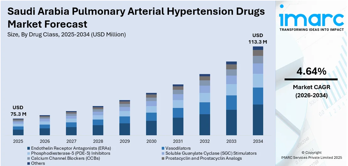 Saudi Arabia Pulmonary Arterial Hypertension Drugs Market Size