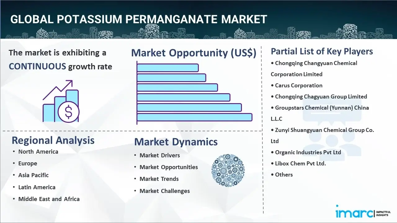 Potassium Permanganate Market 