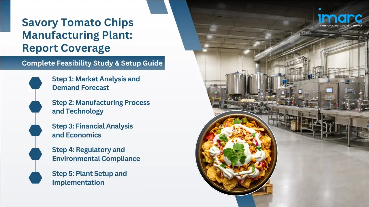 Savory tomato chips Manufacturing Plant