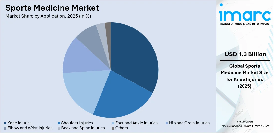 Sports Medicine Market By Application