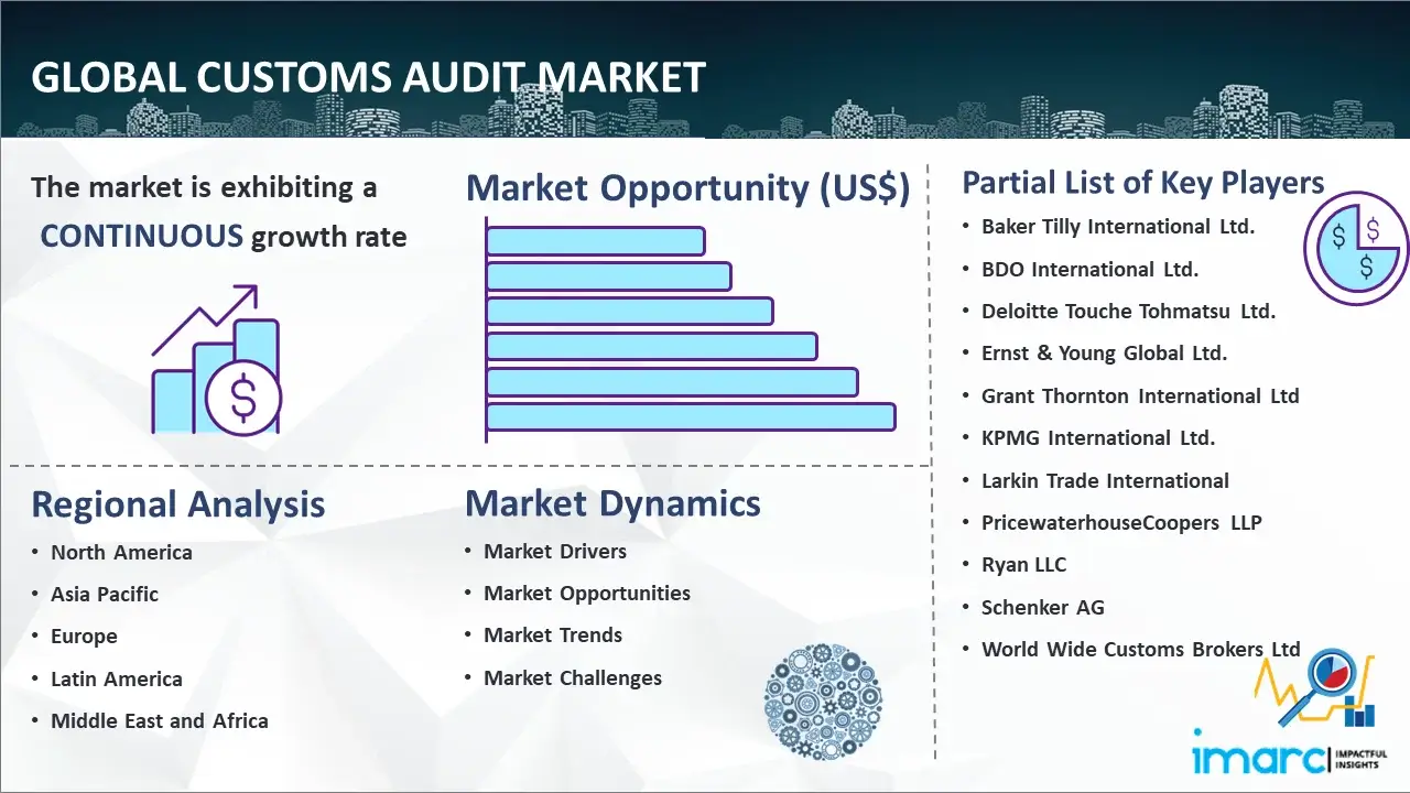 Global Customs Audit Market