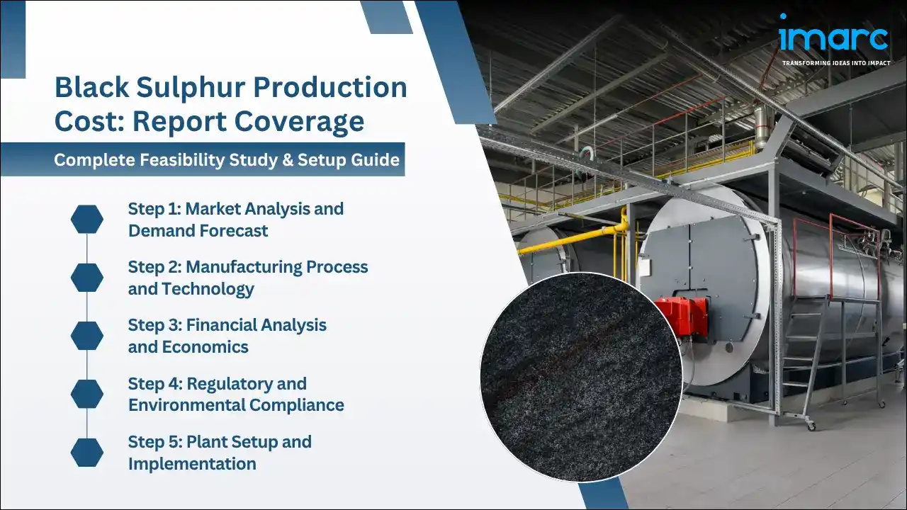 Black Sulphur Production Cost Analysis Report