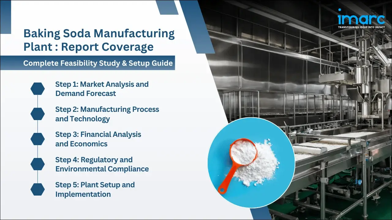 Baking Soda Manufacturing Plant Project Report