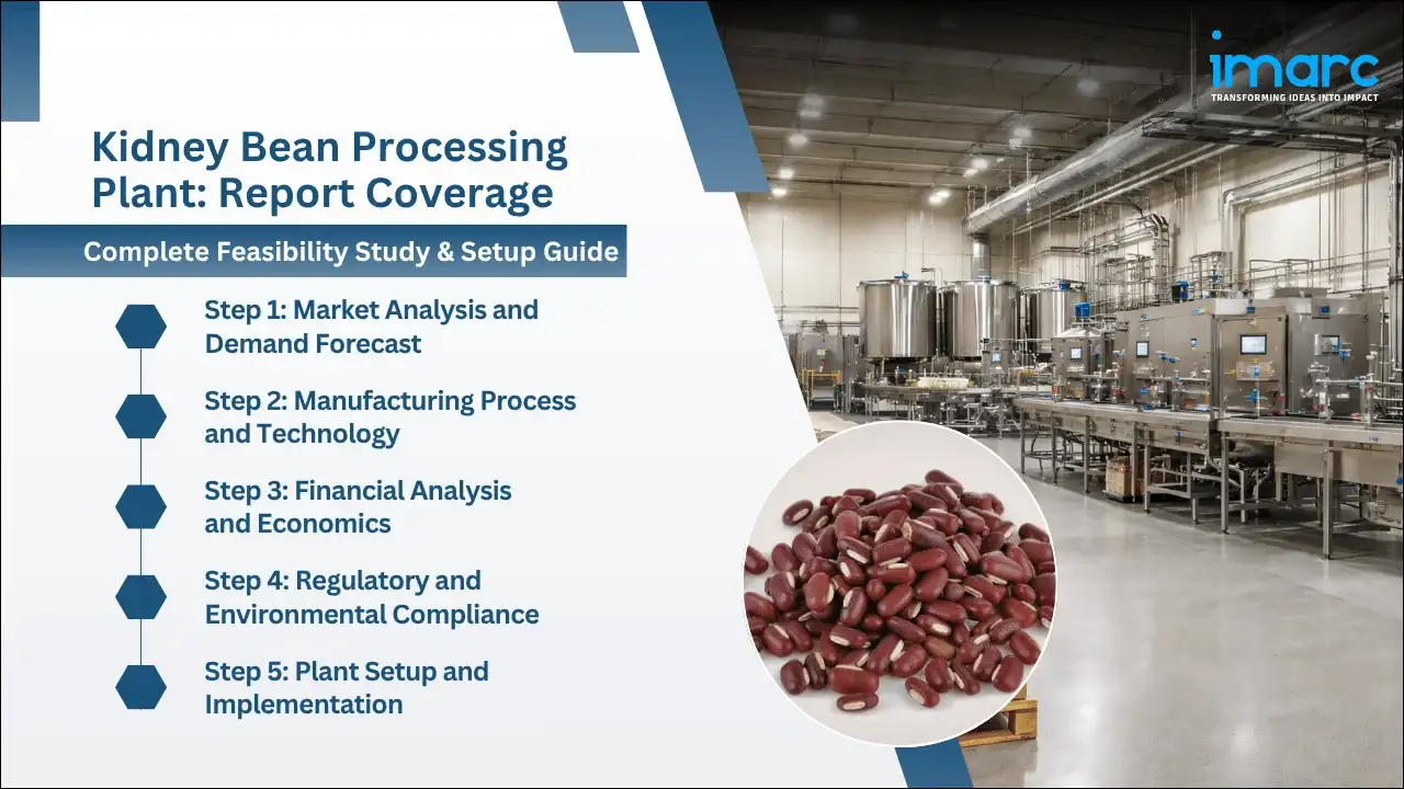 Kidney Bean Processing Plant Project Report 