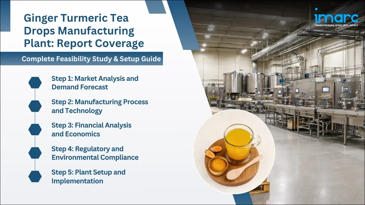 Ginger Turmeric Tea Drops Manufacturing Plant Project Report