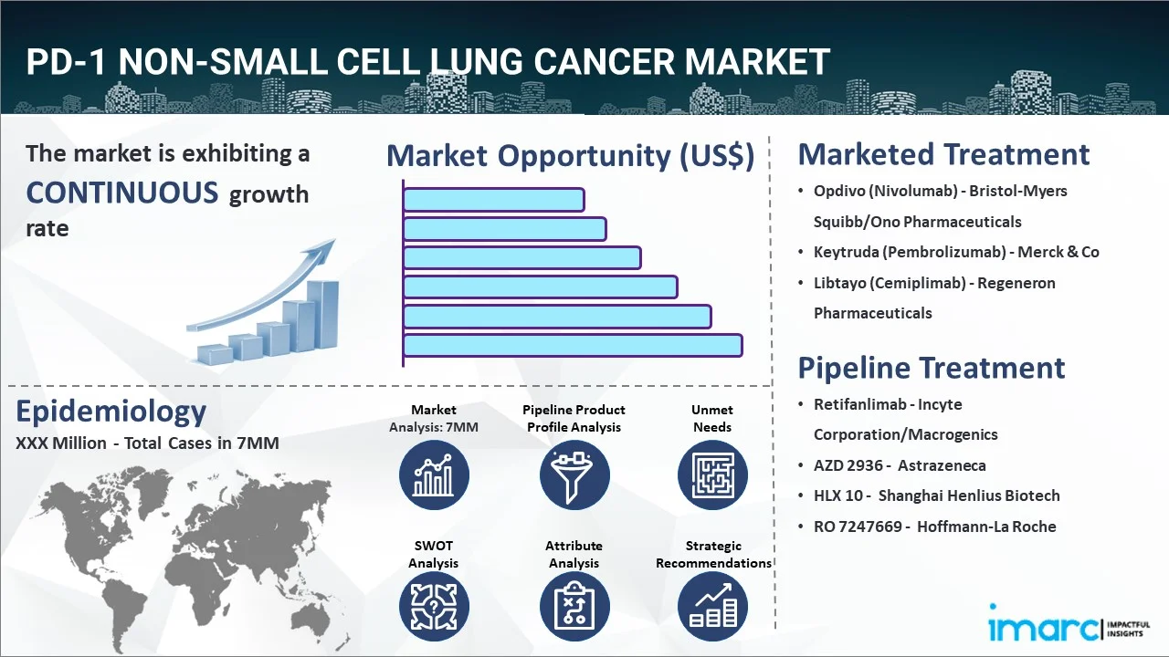PD-1 Non-Small Cell Lung Cancer Market