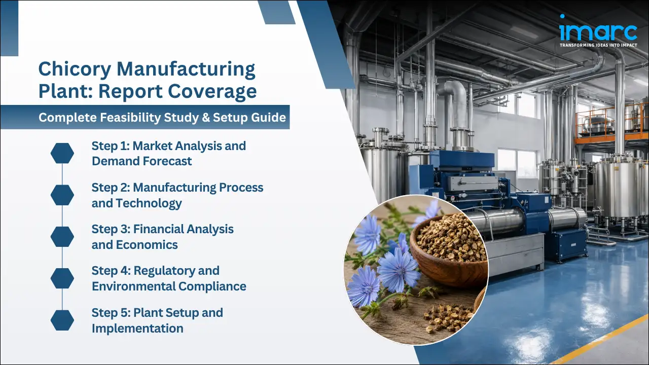 Chicory Manufacturing Plant Project Report