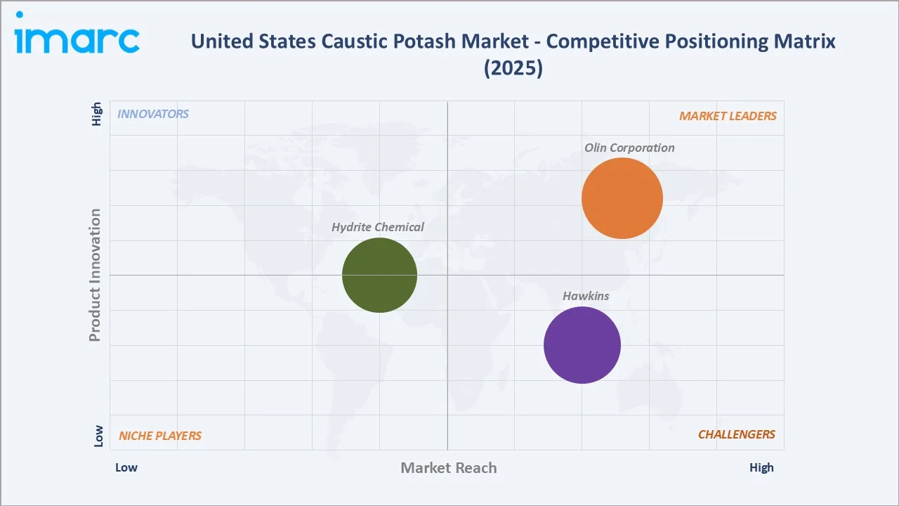 United States Caustic Potash Market Competitive Positioning Matrix