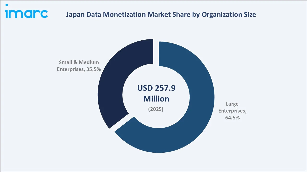 Japan Data Monetization Market By Organization Size