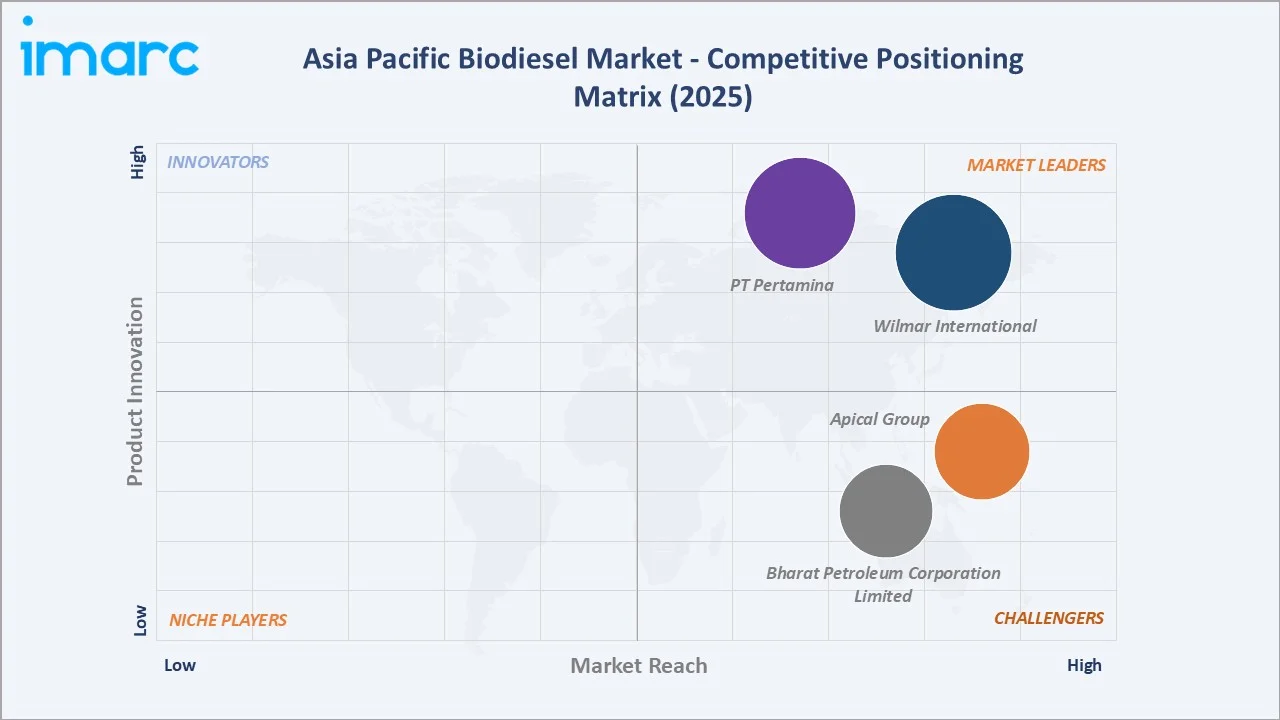 Asia Pacific Biodiesel Market By Competitive Positioning Matrix