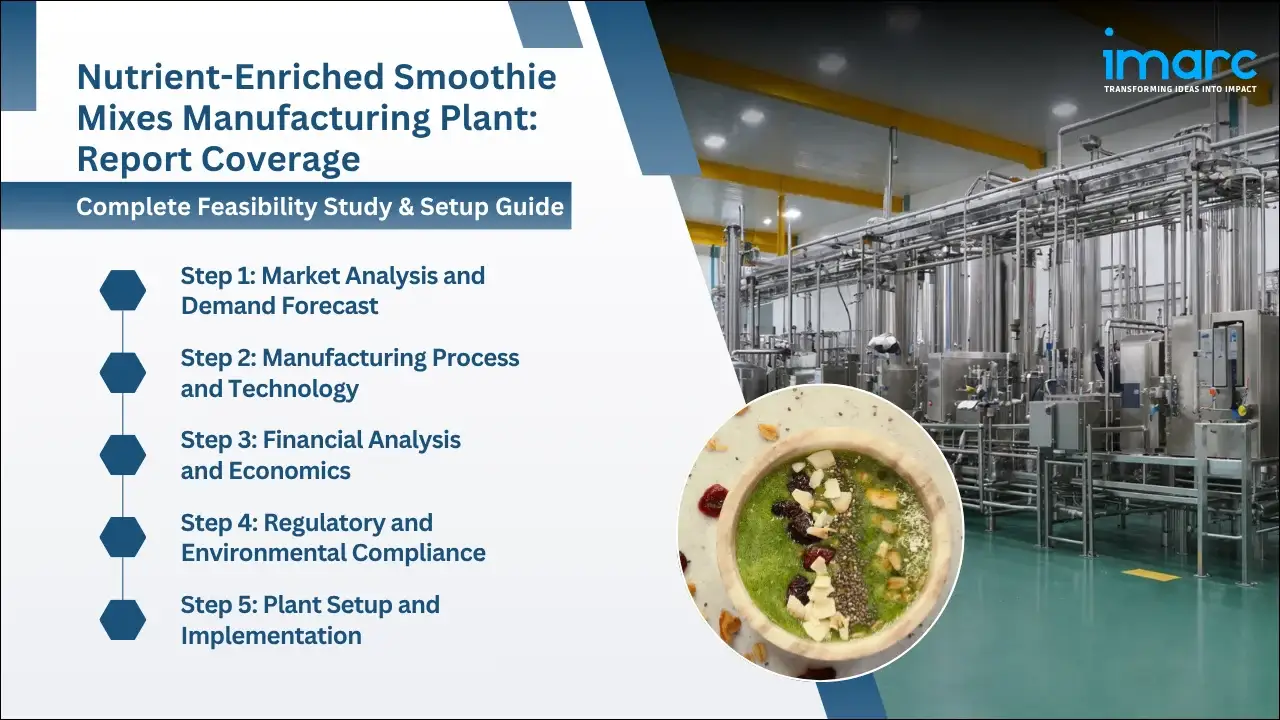 Nutrient-Enriched Smoothie Mixes Manufacturing Plant Project Report