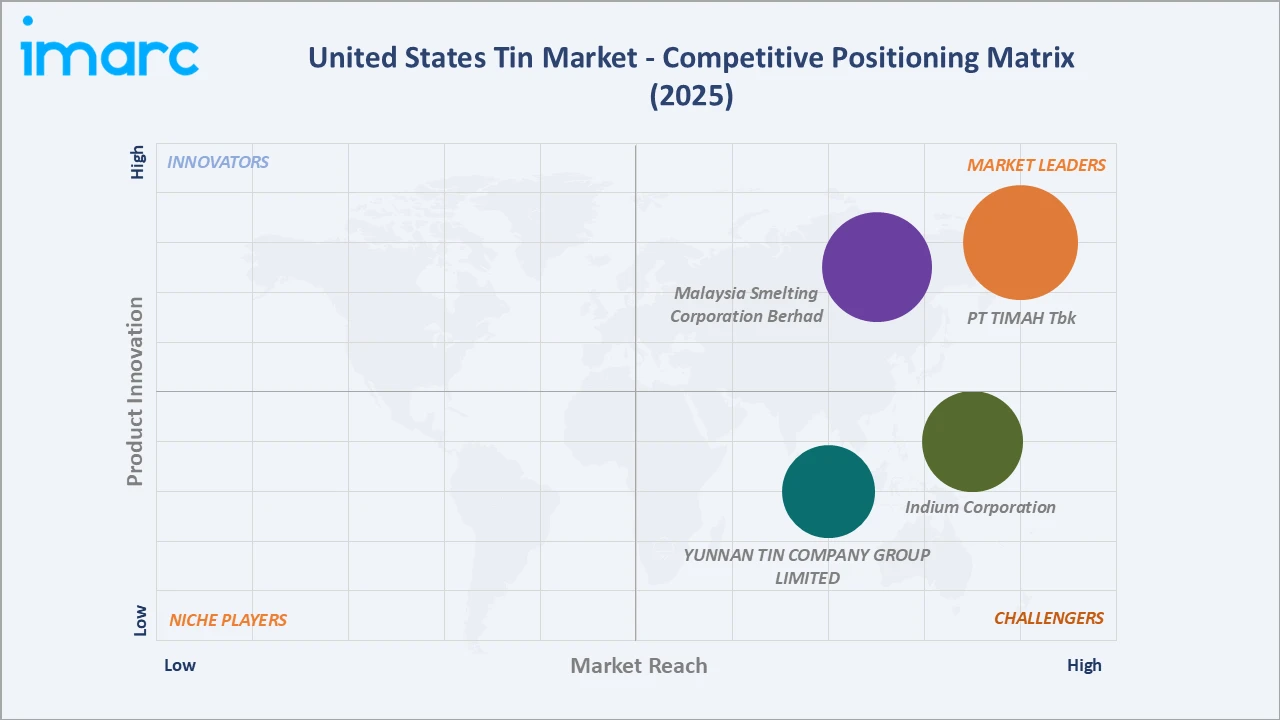United States Tin Market Competitive Positioning Matrix