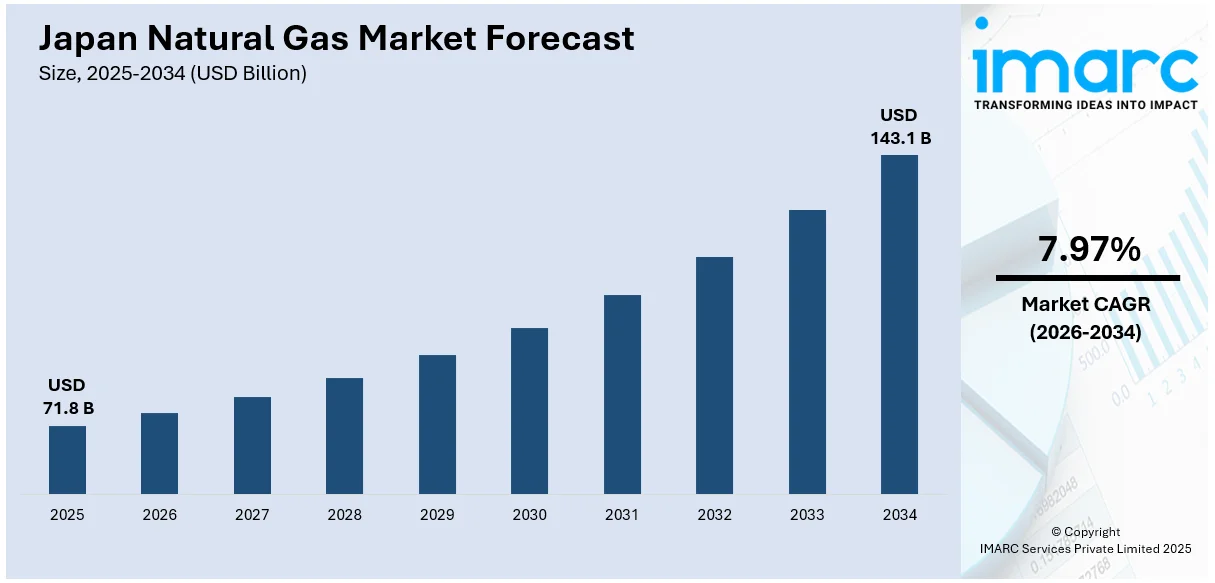 Japan Natural Gas Market Size