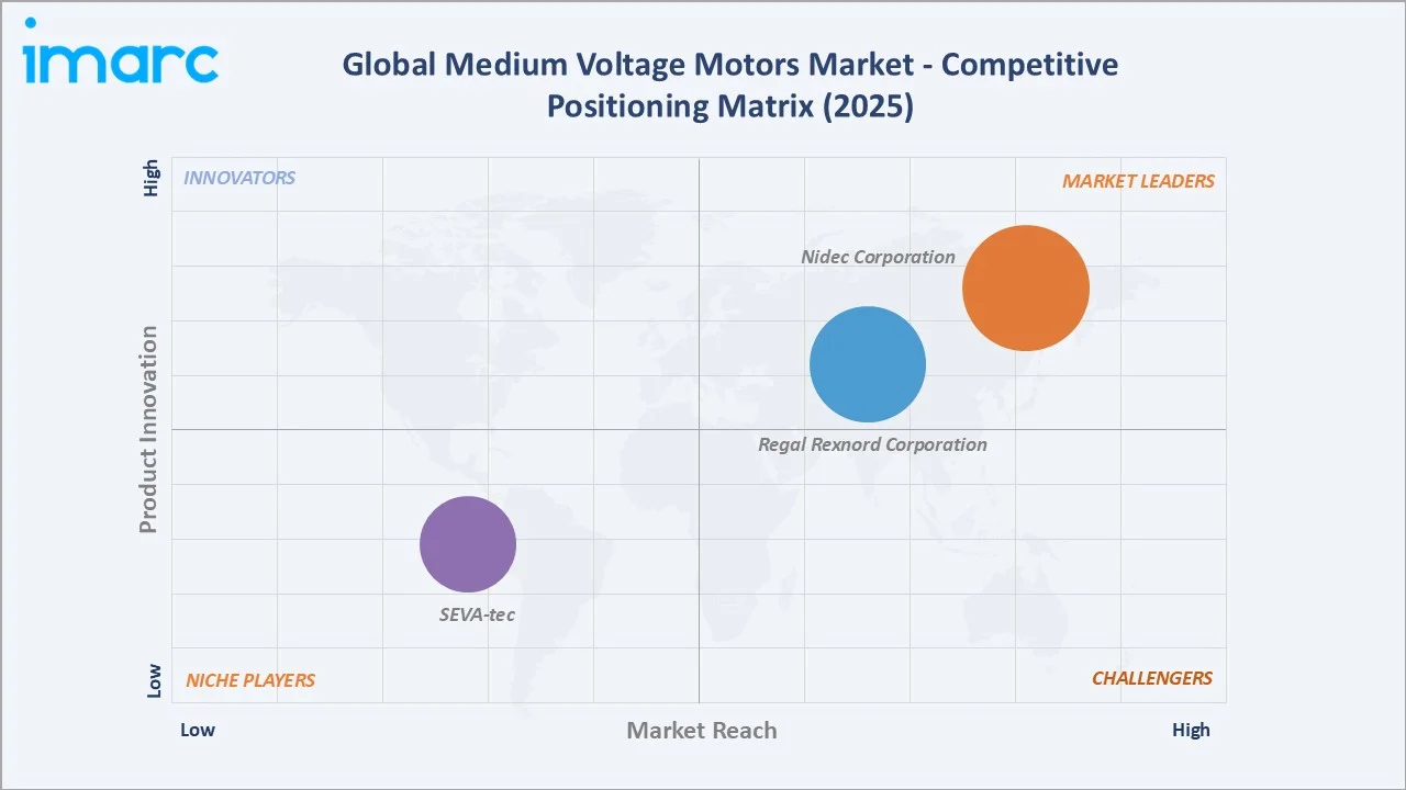 Medium Voltage Motors Market Competitive Positioning Matrix