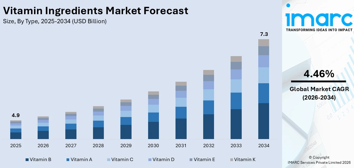 Vitamin Ingredients Market Size