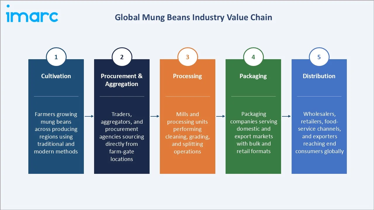 Mung Beans Market Industry Value Chain