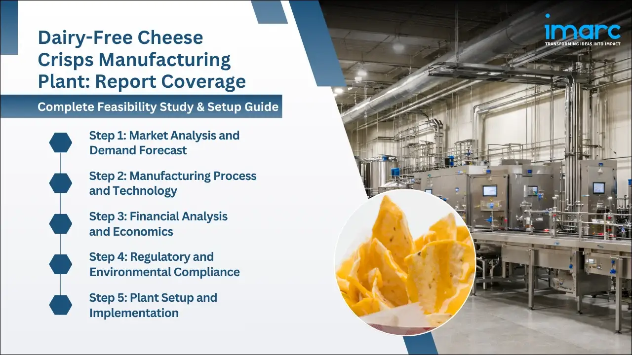 Dairy-Free Cheese Crisps Manufacturing Plant 