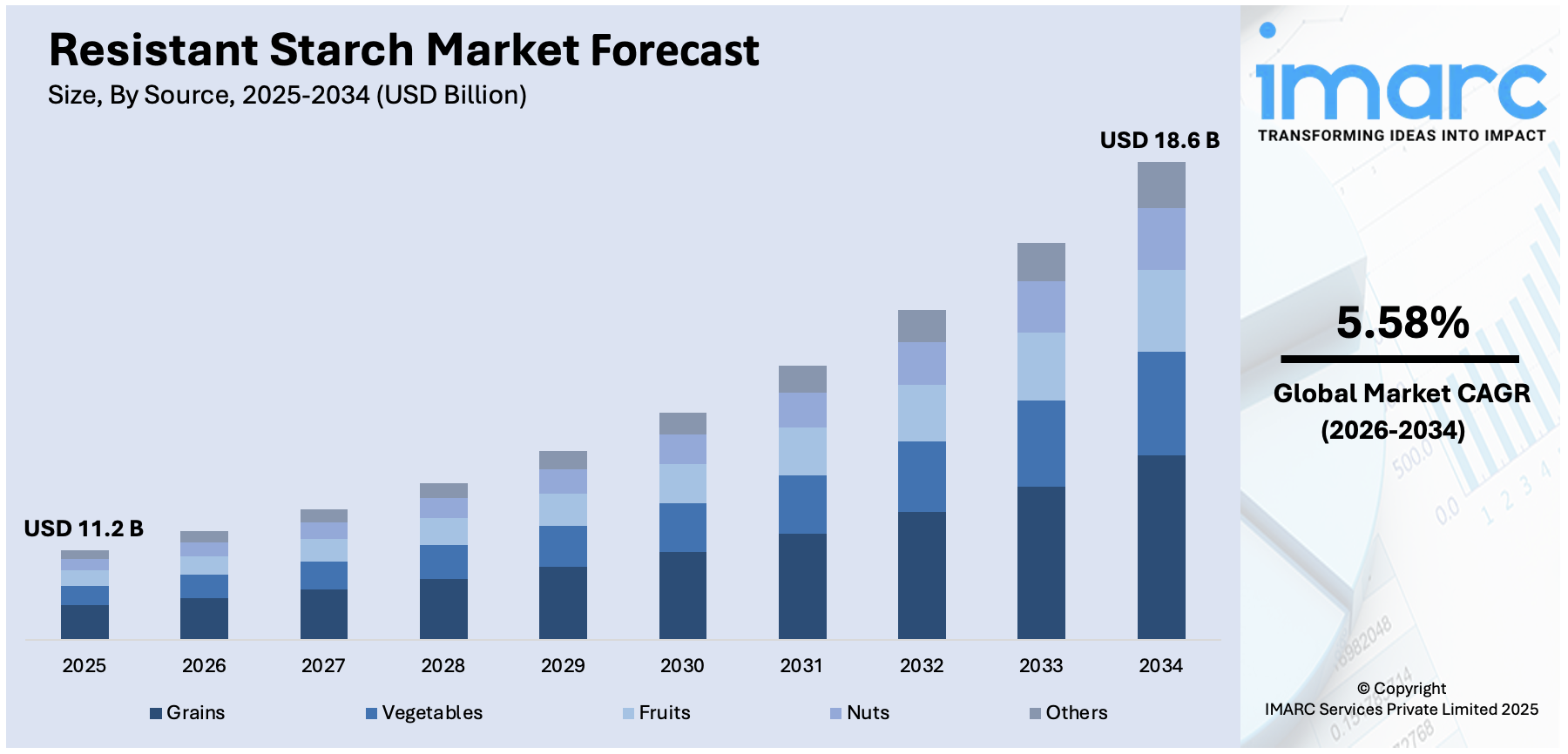 Resistant Starch Market Size