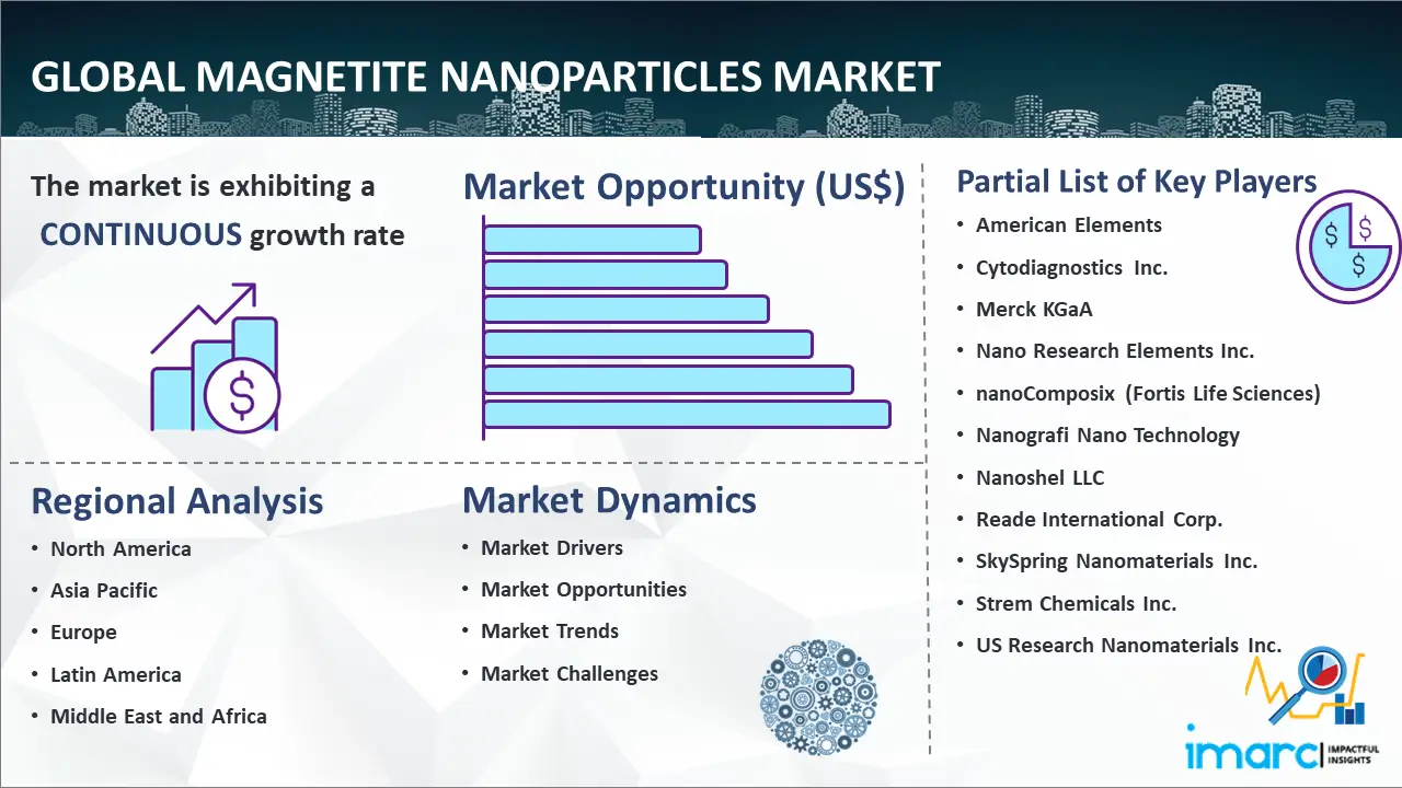 Global Magnetite Nanoparticles Market