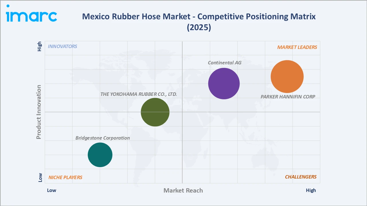 Mexico Rubber Hose Market Competitive Positioning Matrix