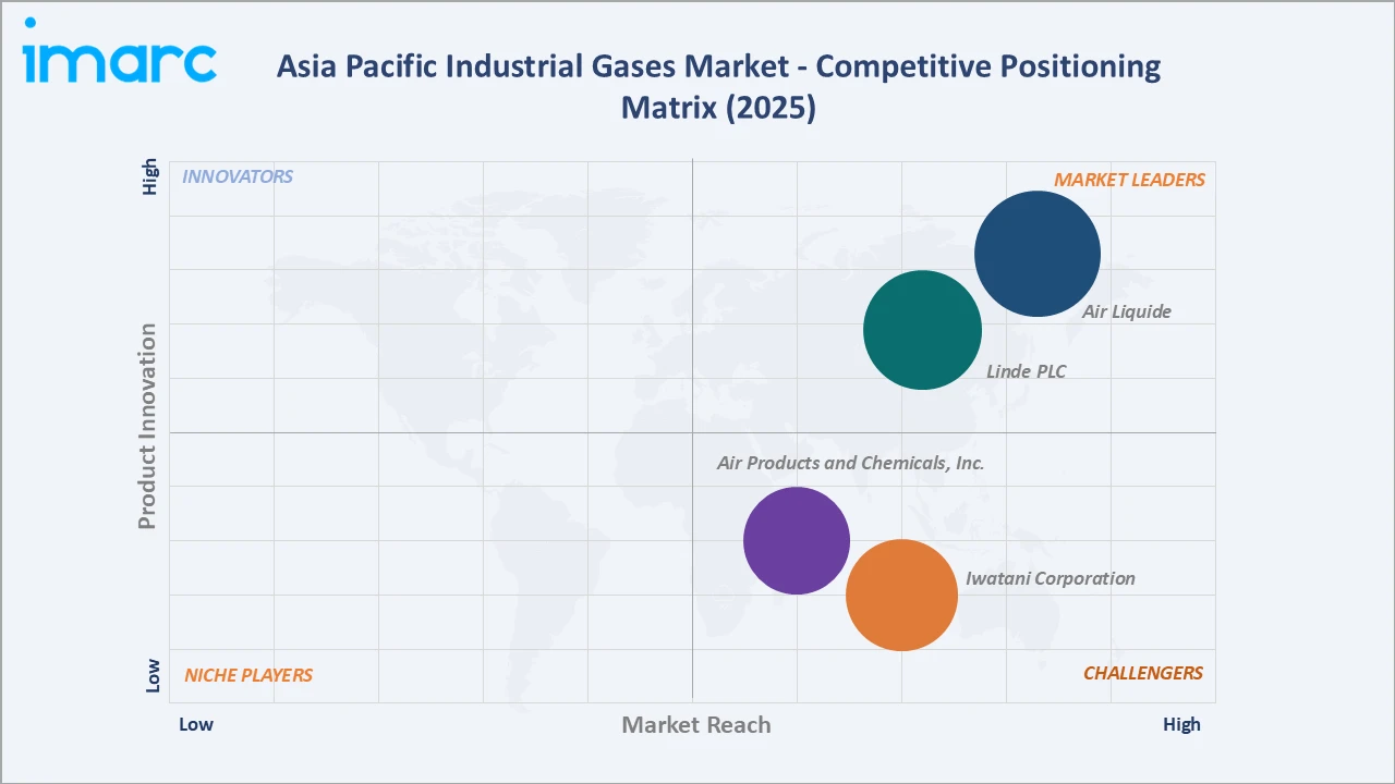 Asia Pacific Industrial Gases Market Competitive Positioning Matrix