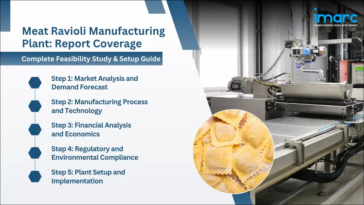Meat Ravioli Manufacturing Plant Project Report
