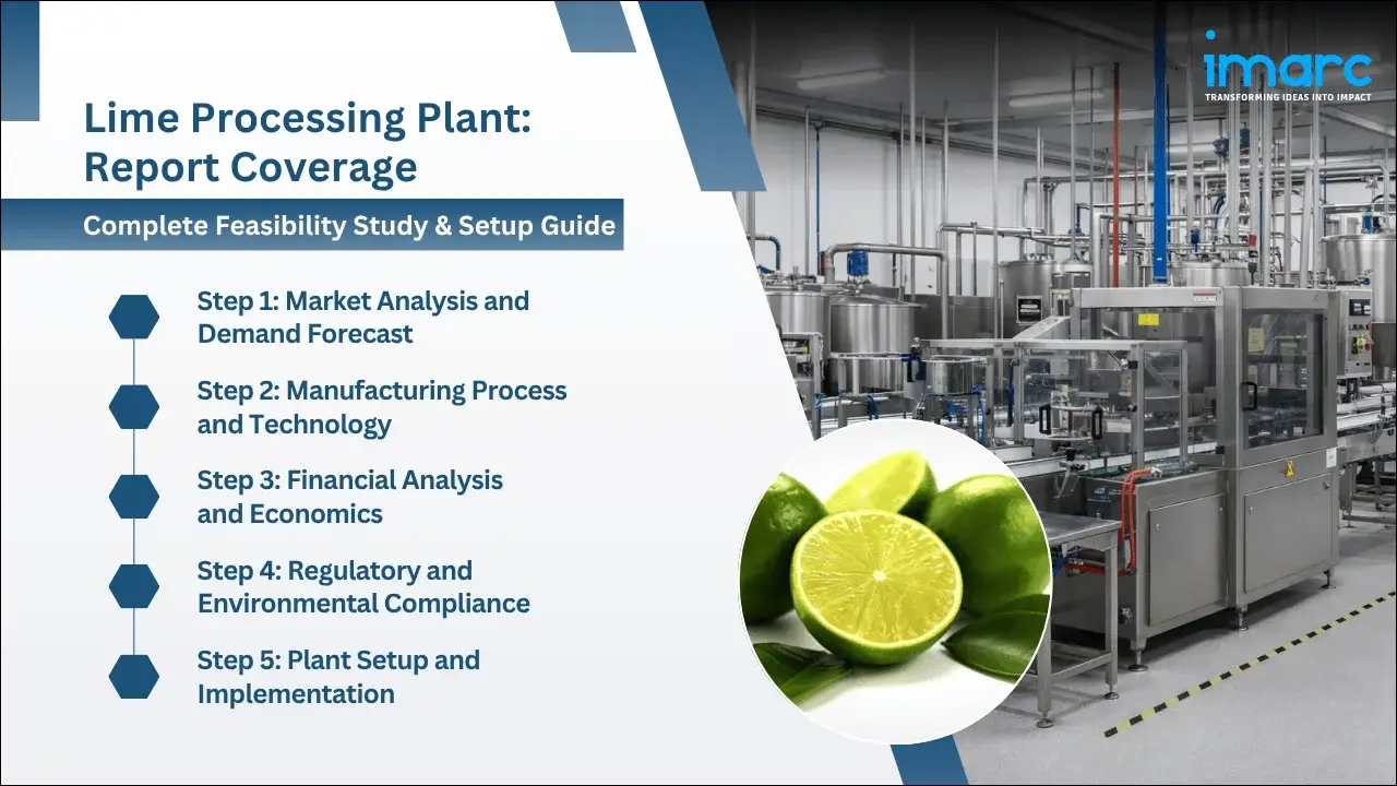 Lime Processing Plant Project Report