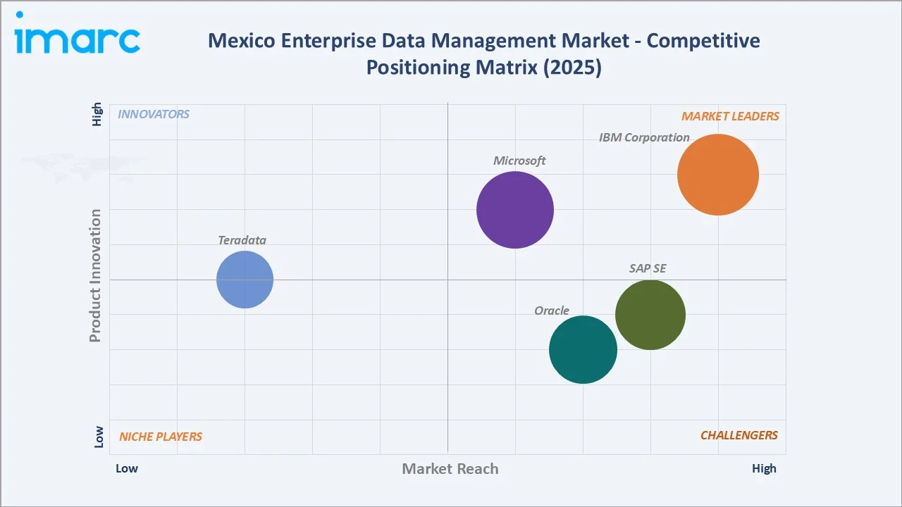 Mexico Enterprise Data Management Market Competitive Positioning Matrix