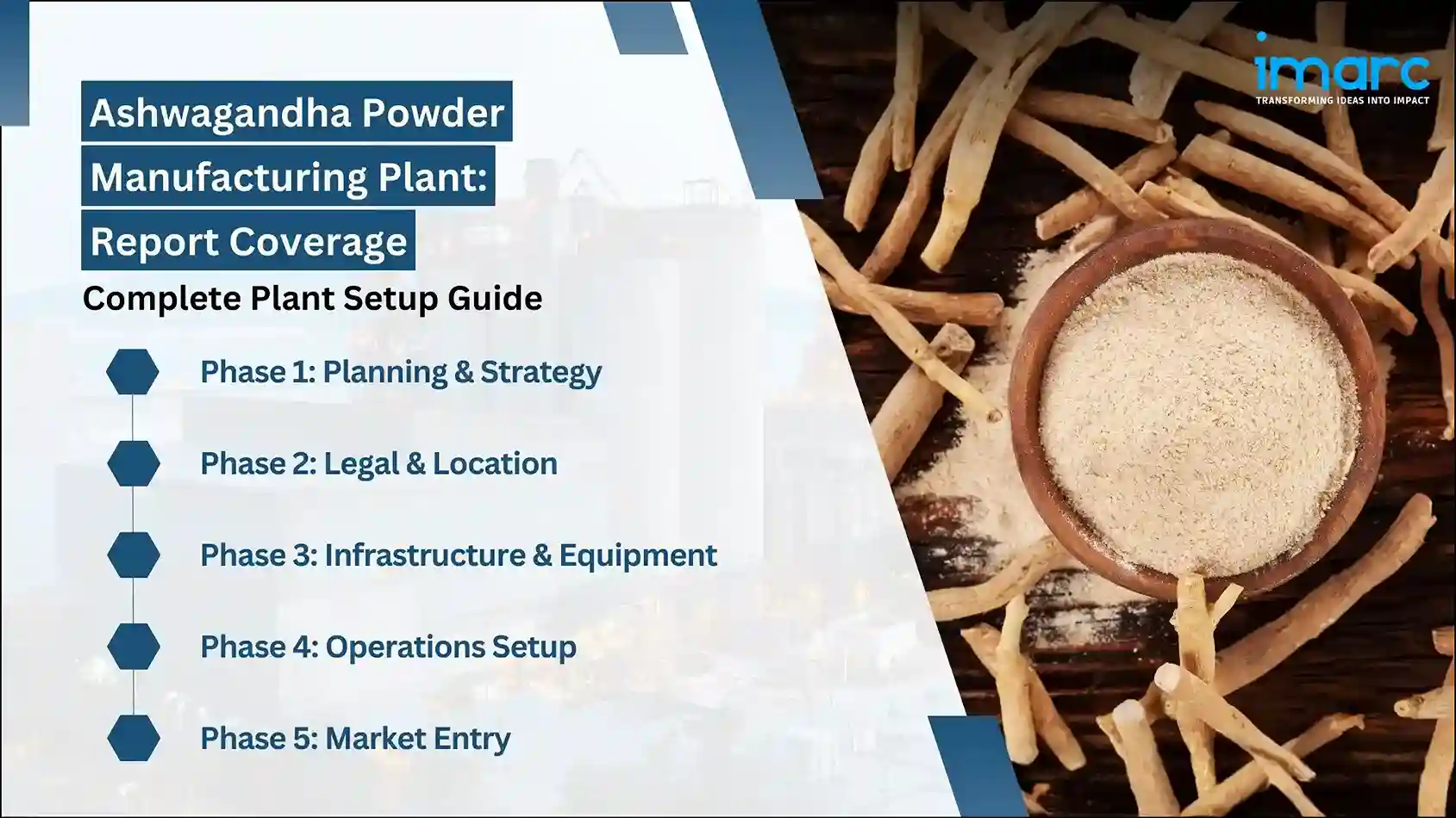 ashwagandha powder manufacturing plant