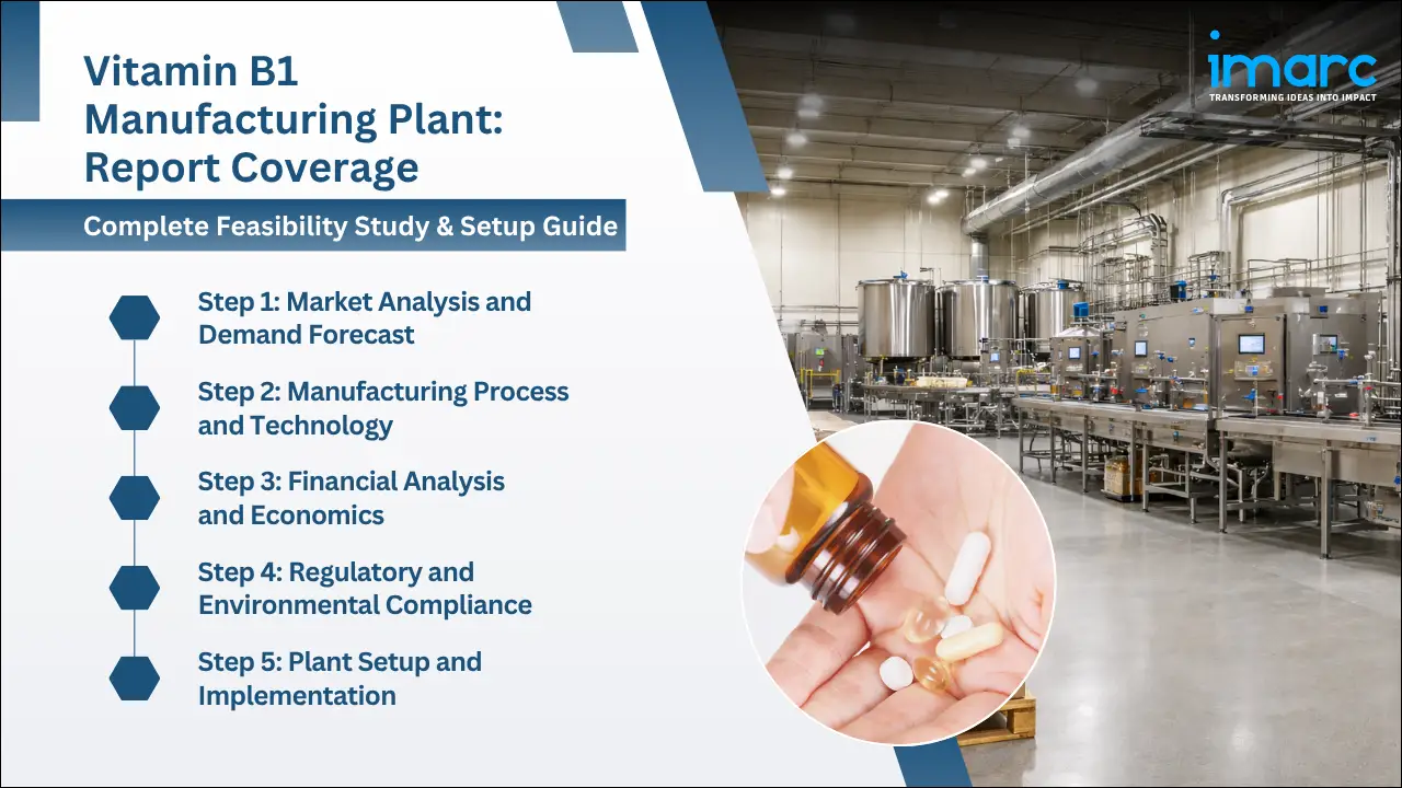 Vitamin B1 Manufacturing Plant