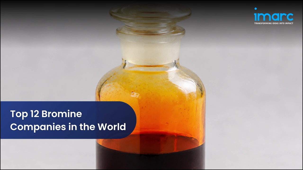 Top 12 Bromine Companies in the World 