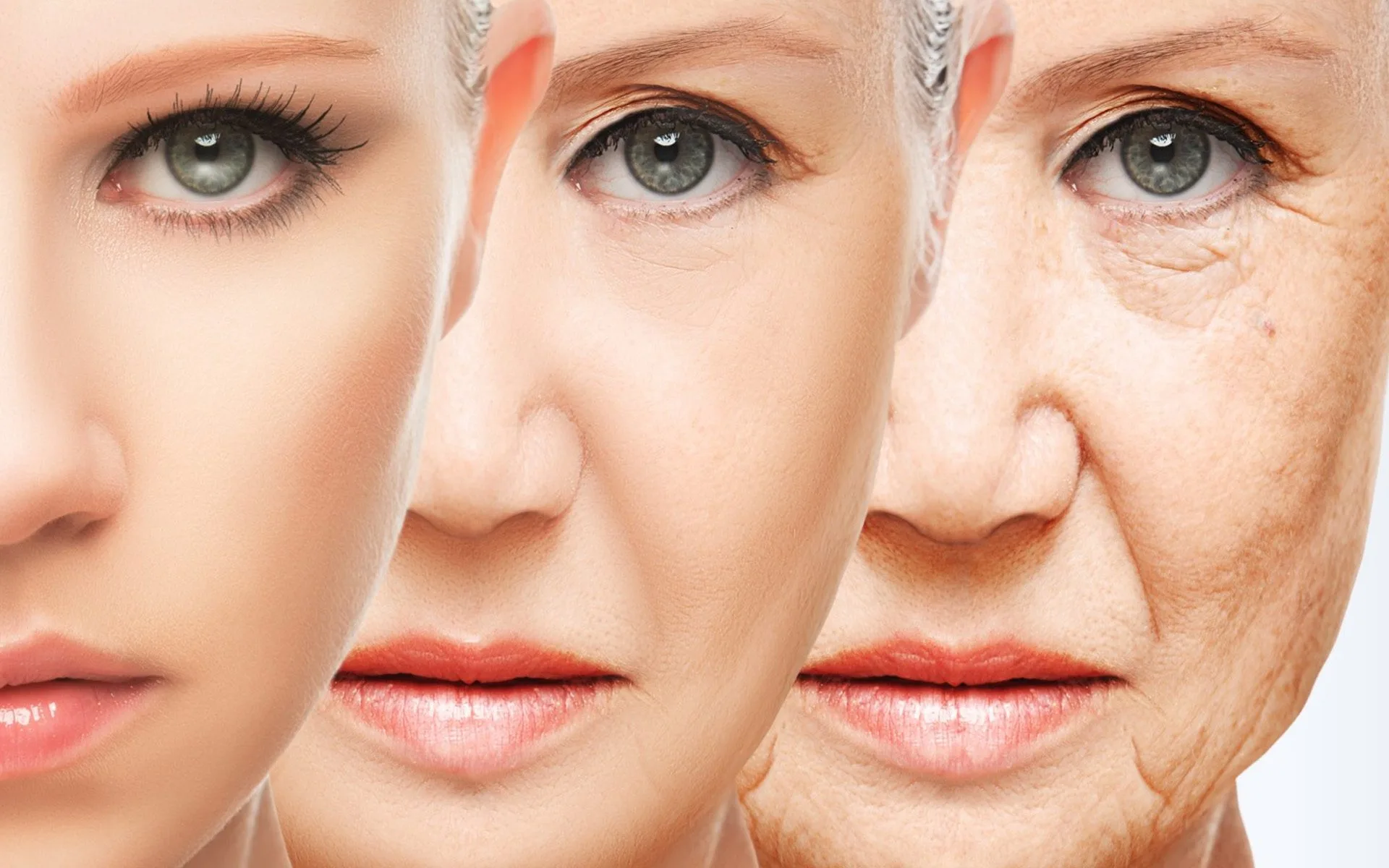 Top 7 Companies in the Anti-Aging Industry