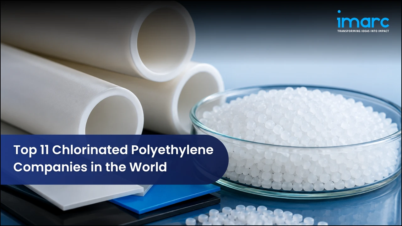 Top 11 Chlorinated Polyethylene Companies in the World