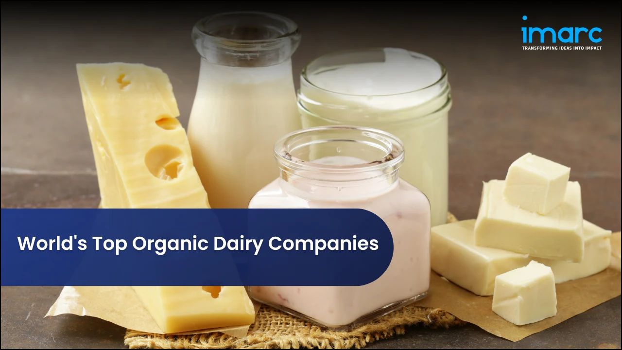 World's Top Organic Dairy Companies