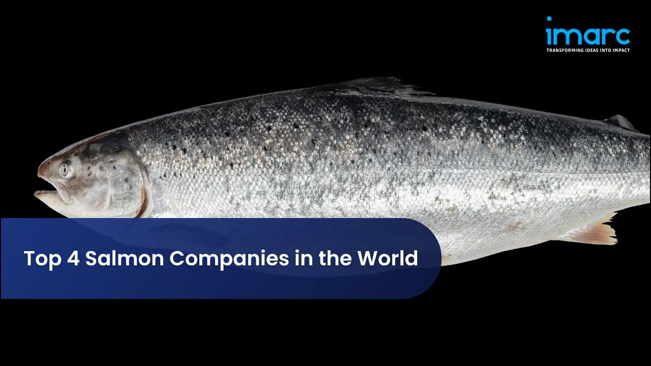 Top 4 Salmon Companies in the World