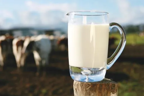 Top 11 Fluid Milk Companies in the World