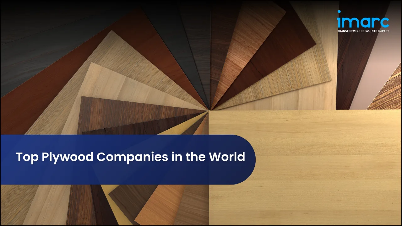 Top Plywood Companies in the World