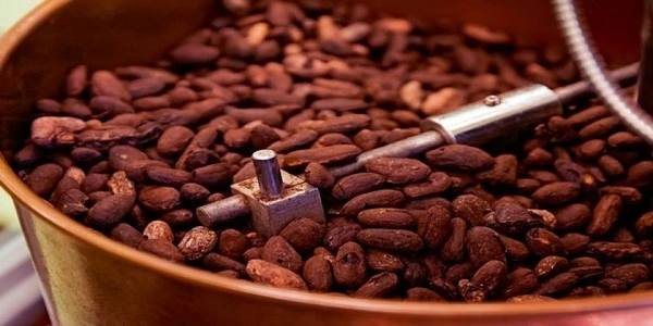 Top Players in the Global Cocoa Processing Market
