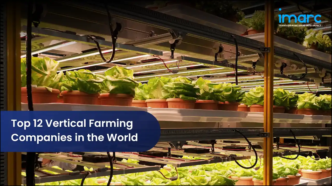 Top 12 Vertical Farming Companies in the World 