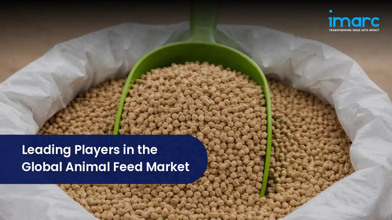 Leading Players in the Global Animal Feed Market