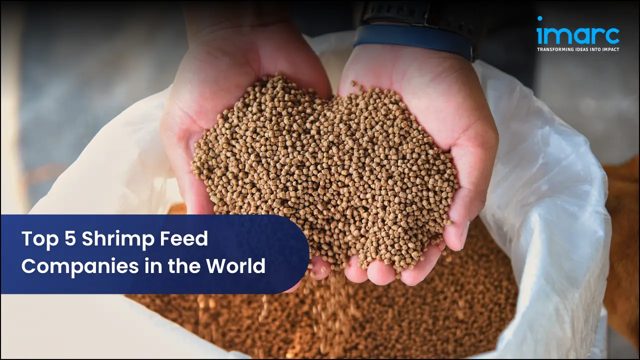 Top 5 Shrimp Feed Companies in the World