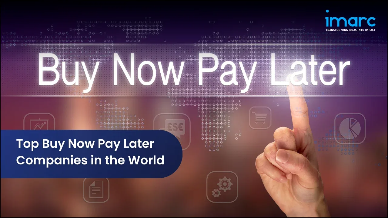 Top Buy Now Pay Later Companies in the World