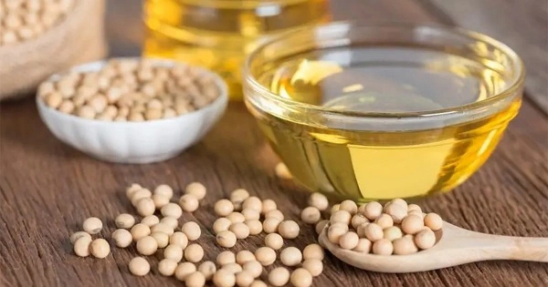 Global Soybean Oil Market Propelled by Versatile Applications