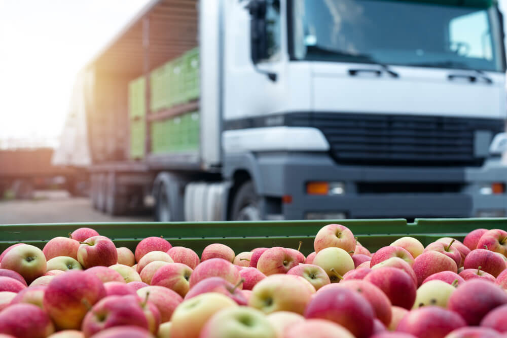Top 11 Food Logistics Companies in the World 