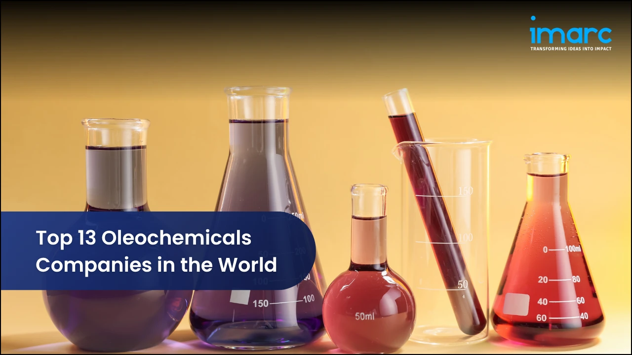 Top 13 Oleochemicals Companies in the World