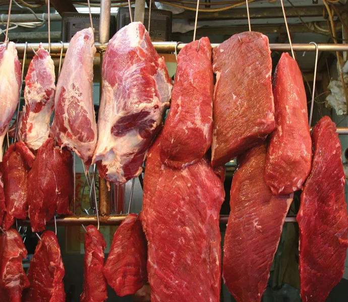 Top 12 Meat Companies in the World