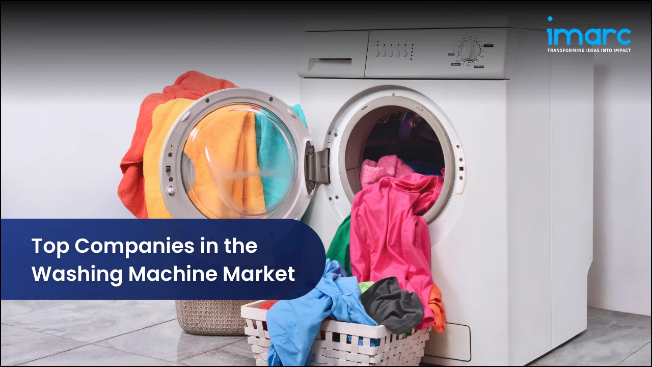 Top Companies in the Washing Machine Market 