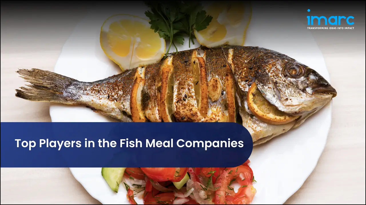 Top Players in the Fish Meal Companies