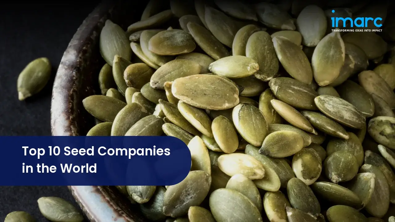Top 10 Seed Companies in the World 
